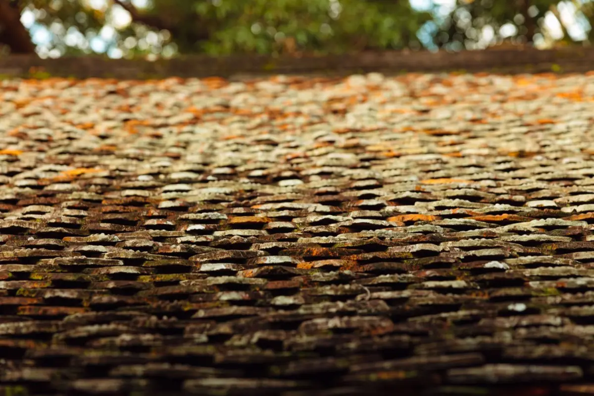 Aging shingle roof with moss growth and granule loss in Hobbs, NM